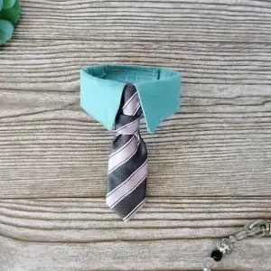 Neck Tie Collar