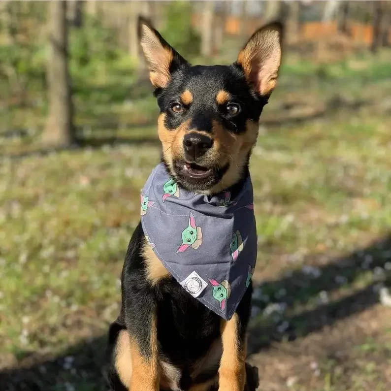 Reversible Bandana - Image 4